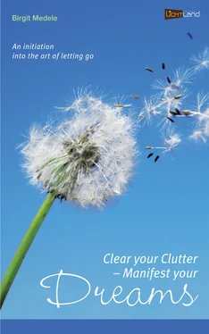 Birgit Medele Clear your Clutter - Manifest your dreams обложка книги