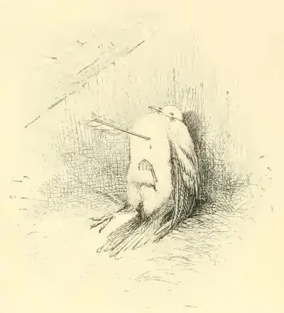 THE BROKEN HEART Table of Contents I never heard Of any true affection but - фото 36