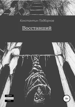 Константин Подборнов Восставший обложка книги
