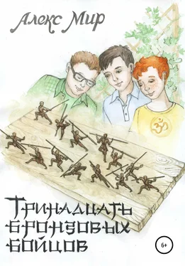 Алекс Мир Тринадцать бронзовых бойцов обложка книги