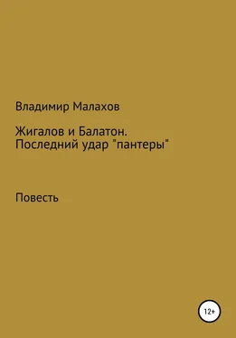 Владимир Малахов Жигалов и Балатон. Последний удар «пантеры» обложка книги