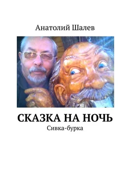 Анатолий Шалев Сказка на ночь. Сивка-бурка обложка книги