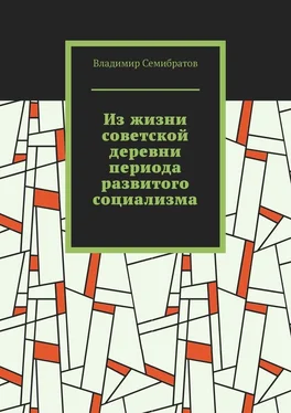 Владимир Семибратов Из жизни советской деревни периода развитого социализма обложка книги