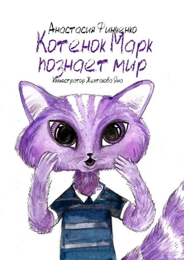 Анастасия Финченко Котенок Марк познает мир обложка книги