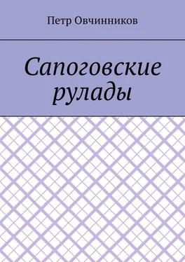 Петр Овчинников Сапоговские рулады обложка книги