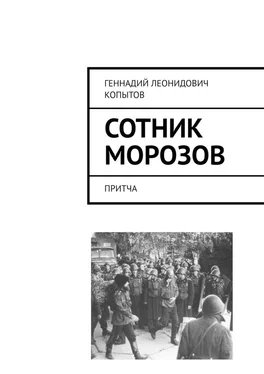 Геннадий Копытов Сотник Морозов. Притча обложка книги