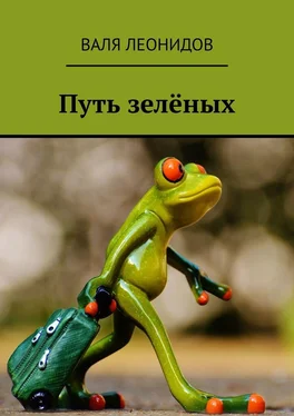 Валя Леонидов Путь зелёных обложка книги