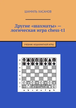 Шамиль Хасанов Другие «шахматы» – логическая игра chess-t1. Учебник нешахматной игры обложка книги