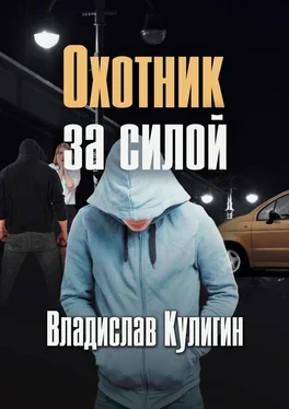 Владислав Кулигин Охотник за силой обложка книги