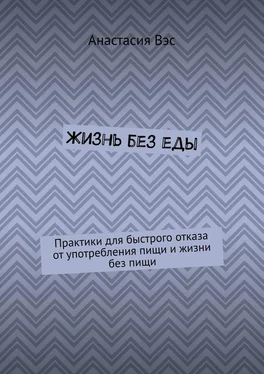 Анастасия Вэс Жизнь без еды. Практики для быстрого отказа от употребления пищи и жизни без пищи обложка книги