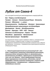 Анатолий Филяев - Лубок от Совка – 4