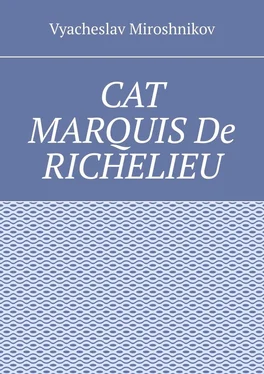 Vyacheslav Miroshnikov Cat Marquis De Richelieu обложка книги