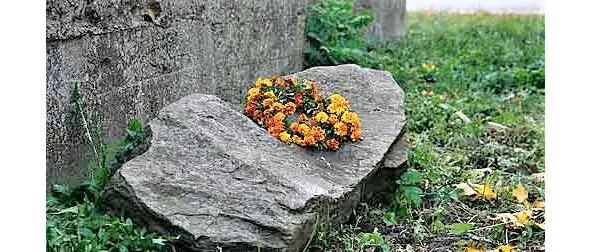 Камень Боны Сфорца Маладыя пары якія бяруць шлюб без дазволу бацькоў павінны - фото 17