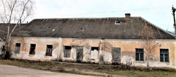 Палац Тарасовічаў 2010 г Палац адвялі пад клюб краму і жыльлё Зьніклі - фото 42