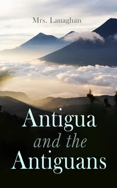 Mrs. Lanaghan Antigua and the Antiguans (Vol. 1&2) обложка книги