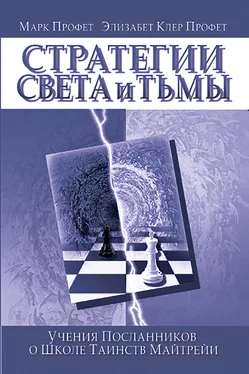 Марк Профет Стратегии Света и Тьмы обложка книги