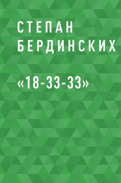 Степан Бердинских «18-33-33» обложка книги