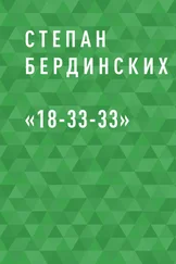 Степан Бердинских - «18-33-33»
