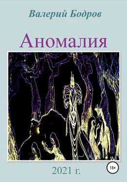 Валерий Бодров Аномалия обложка книги