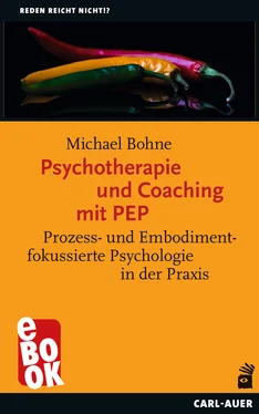 Michael Bohne Psychotherapie und Coaching mit PEP обложка книги