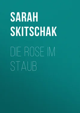 Sarah Skitschak Die Rose im Staub обложка книги