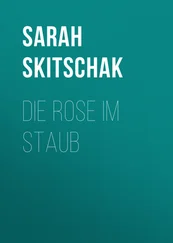 Sarah Skitschak - Die Rose im Staub