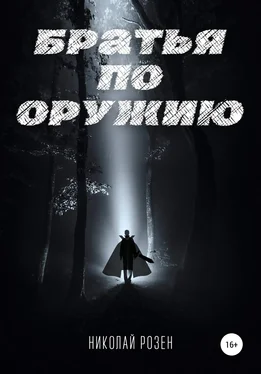 Николай Розен Братья по оружию обложка книги