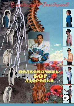 Владимир Богданов Позвоночник – бог здоровья обложка книги
