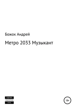 Андрей Божок Метро 2033 Музыкант обложка книги