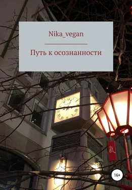 Nika_vegan Путь к осознанности обложка книги