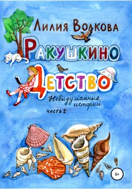 Лилия Волкова Ракушкино детство. Невыдуманные истории. Часть 2 обложка книги