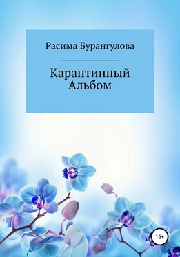Расима Бурангулова Карантинный Альбом обложка книги