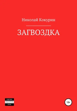 Николай Кокурин Загвоздка обложка книги
