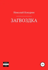 Николай Кокурин - Загвоздка