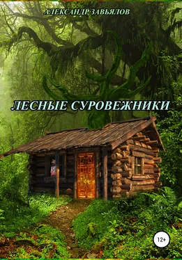 Александр Завьялов Лесные суровежники обложка книги