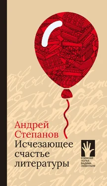 Андрей Степанов Исчезающее счастье литературы обложка книги