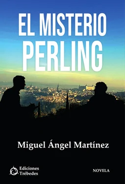 Miguel Ángel Martínez El misterio Perling обложка книги
