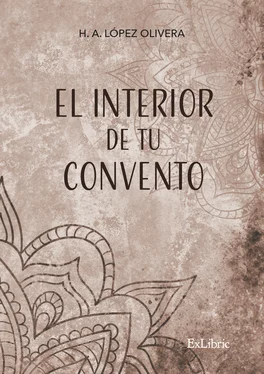 Héctor Alejandro López Olivera El interior de tu convento обложка книги