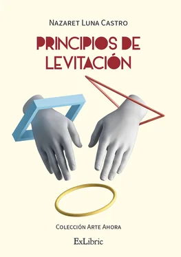 Nazaret Luna Castro Principios de levitación обложка книги