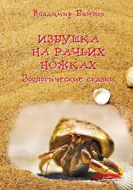 Владимир Бабенко Избушка на рачьих ножках обложка книги