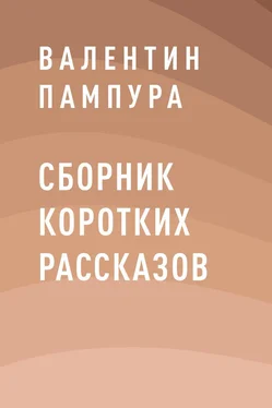 Валентин Пампура Сборник коротких рассказов обложка книги