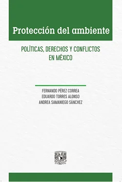 Fernando Pérez Correa Protección del ambiente обложка книги