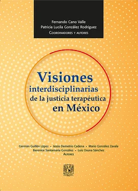 Fernando Cano Valle Visiones interdisciplinarias de la justicia terapéutica en México обложка книги