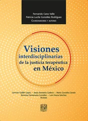 Fernando Cano Valle - Visiones interdisciplinarias de la justicia terapéutica en México