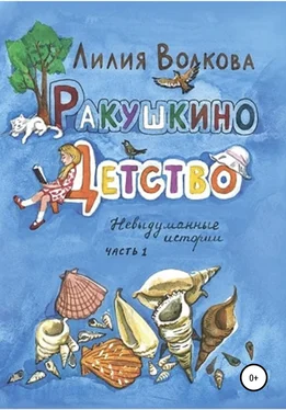 Лилия Волкова Ракушкино детство. Невыдуманные истории. Часть 1 обложка книги