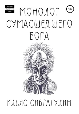 Ильяс Сибгатулин Монолог сумасшедшего бога обложка книги