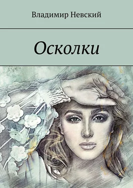 Владимир Невский Осколки обложка книги