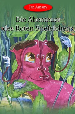 Jan Amany Die Abenteuer des Roten Stiefelchens обложка книги