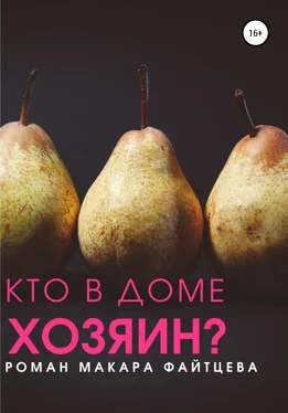 Макар Файтцев Кто в доме хозяин? обложка книги