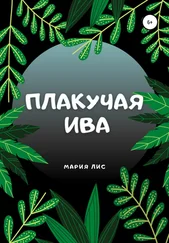 Мария Лис - Плакучая Ива